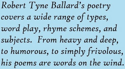 Book description